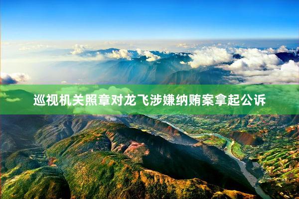 巡视机关照章对龙飞涉嫌纳贿案拿起公诉