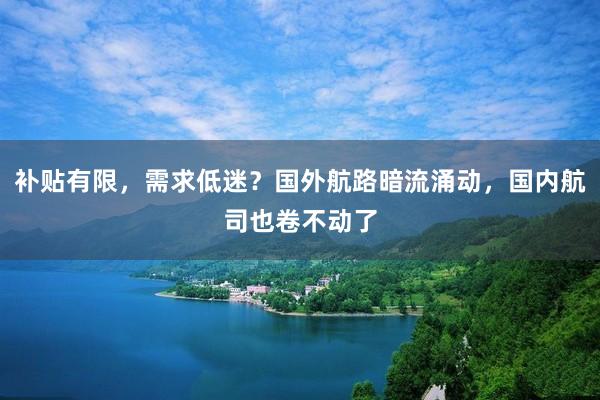 补贴有限，需求低迷？国外航路暗流涌动，国内航司也卷不动了