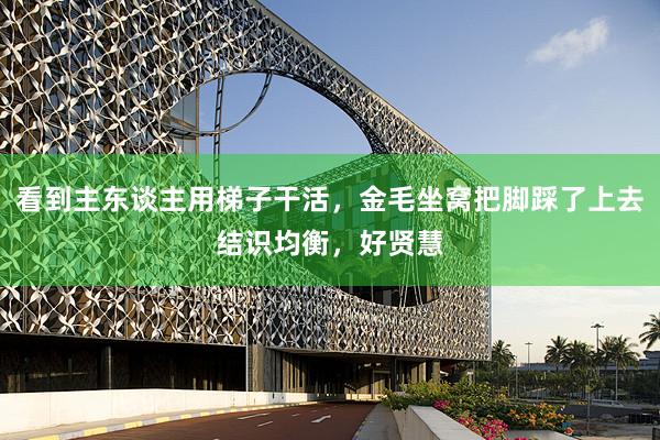 看到主东谈主用梯子干活，金毛坐窝把脚踩了上去结识均衡，好贤慧