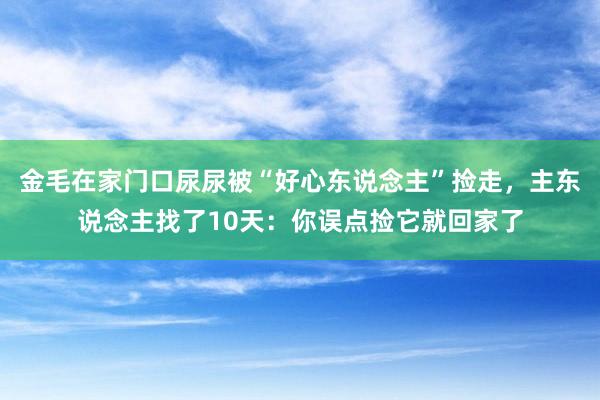 金毛在家门口尿尿被“好心东说念主”捡走，主东说念主找了10天：你误点捡它就回家了