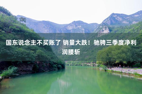 国东说念主不买账了 销量大跌！驰骋三季度净利润腰斩