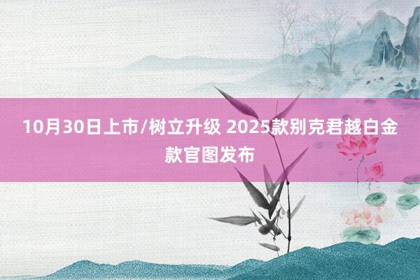 10月30日上市/树立升级 2025款别克君越白金款官图发布
